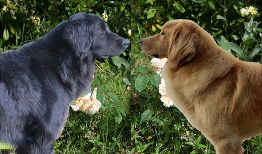 Des bébés prévus en janvier