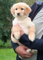 REINE NALA
